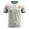 Fotbalový Dres Senegal Domácí Dresy Mistrovství Světa 2026 Fotbalový Dres Senegal Domácí Dresy Mistrovství Světa 2026