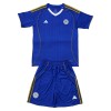 Dětský Fotbalový Dres Leicester City Domácí Dresy 2025-26 Dětský Fotbalový Dres Leicester City Domácí Dresy 2025-26