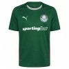 Fotbalový Dres Palmeiras Domácí Dresy 2026-27