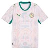Fotbalový Dres Senegal Domácí Dresy Mistrovství Světa 2026
