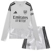 Dětský Fotbalový Dres Arsenal Domácí Dresy Brankářské 2026-27 Dlouhý Rukáv Dětský Fotbalový Dres Arsenal Domácí Dresy Brankářské 2026-27 Dlouhý Rukáv
