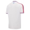 Fotbalový Dres Crystal Palace Domácí Dresy 2026-27